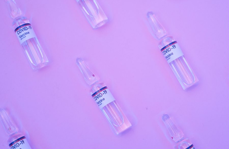 Vaccine - Photo by Alena Shekhovtcova via Pexels