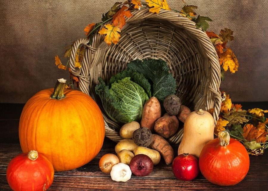 How to give thanks and give back locally this Thanksgiving