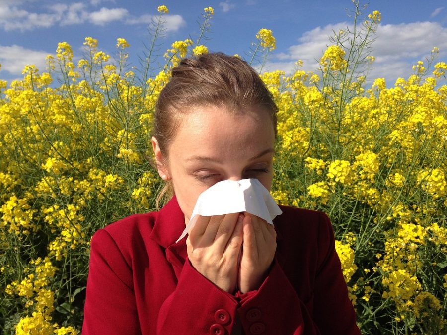 Don’t blame farmers, allergies are from genetics