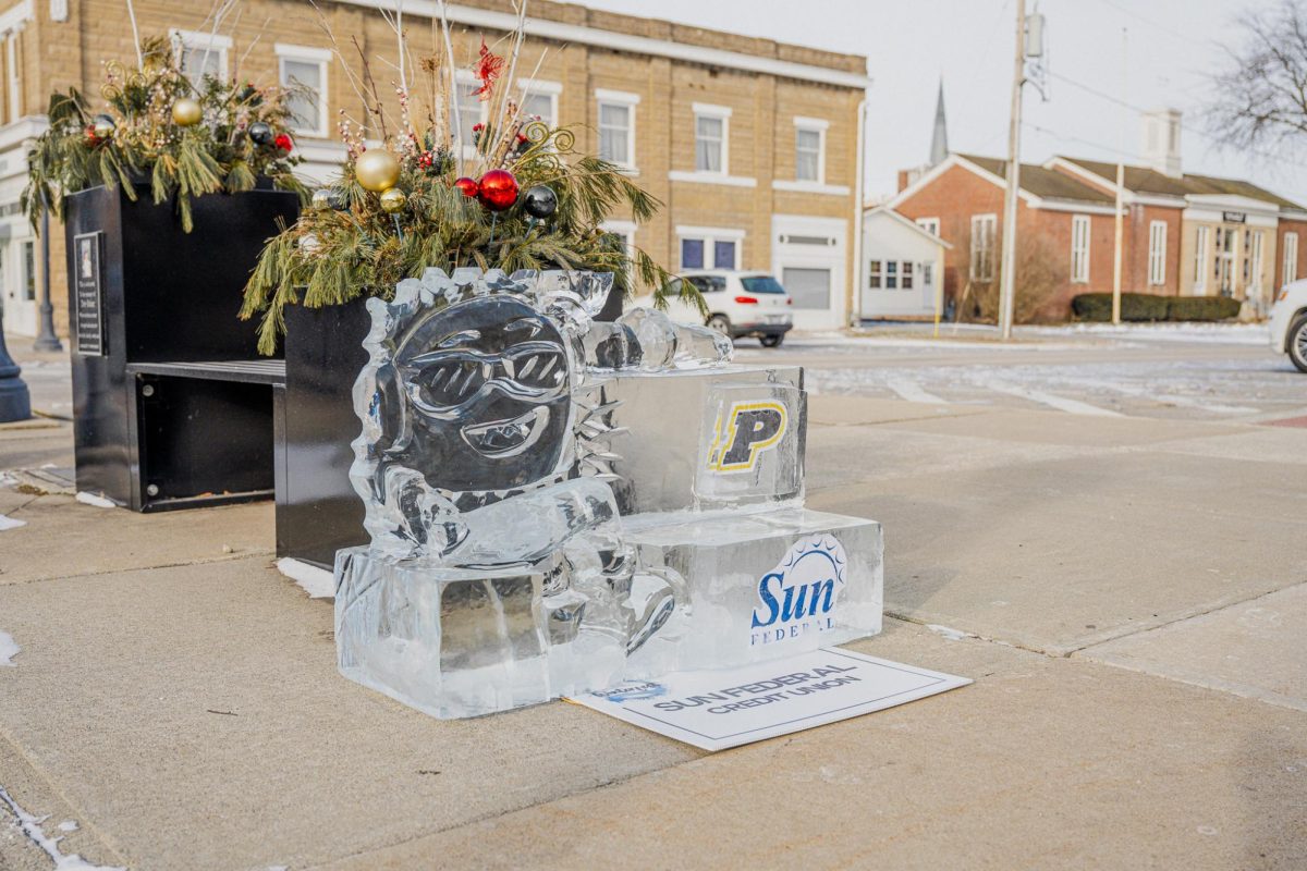 Photo Gallery: City of Perrysburg displays ice carvings