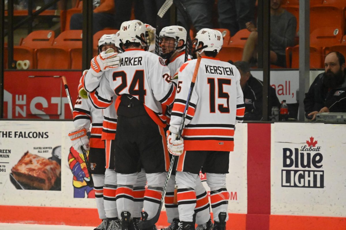 Falcons celebrating as Josh Nodler (10) scored the sixth goal of the night for the Falcons against LSSU