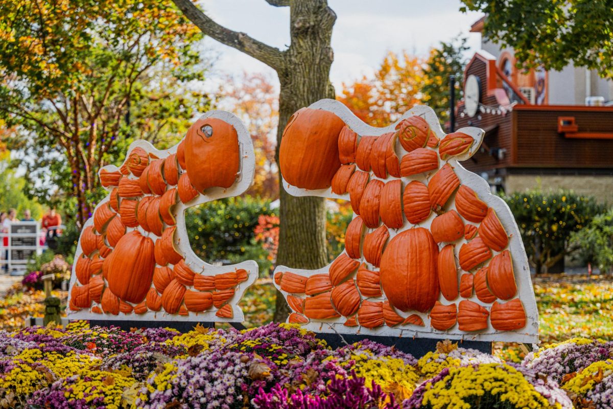 A decorative photo of hippos made out of pumpkins at the Toledo Zoo