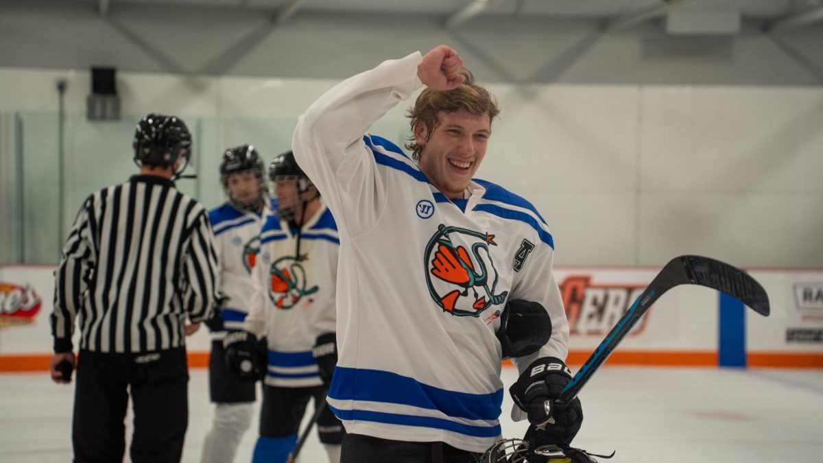 The Silly Gooses playing in the adult hockey league