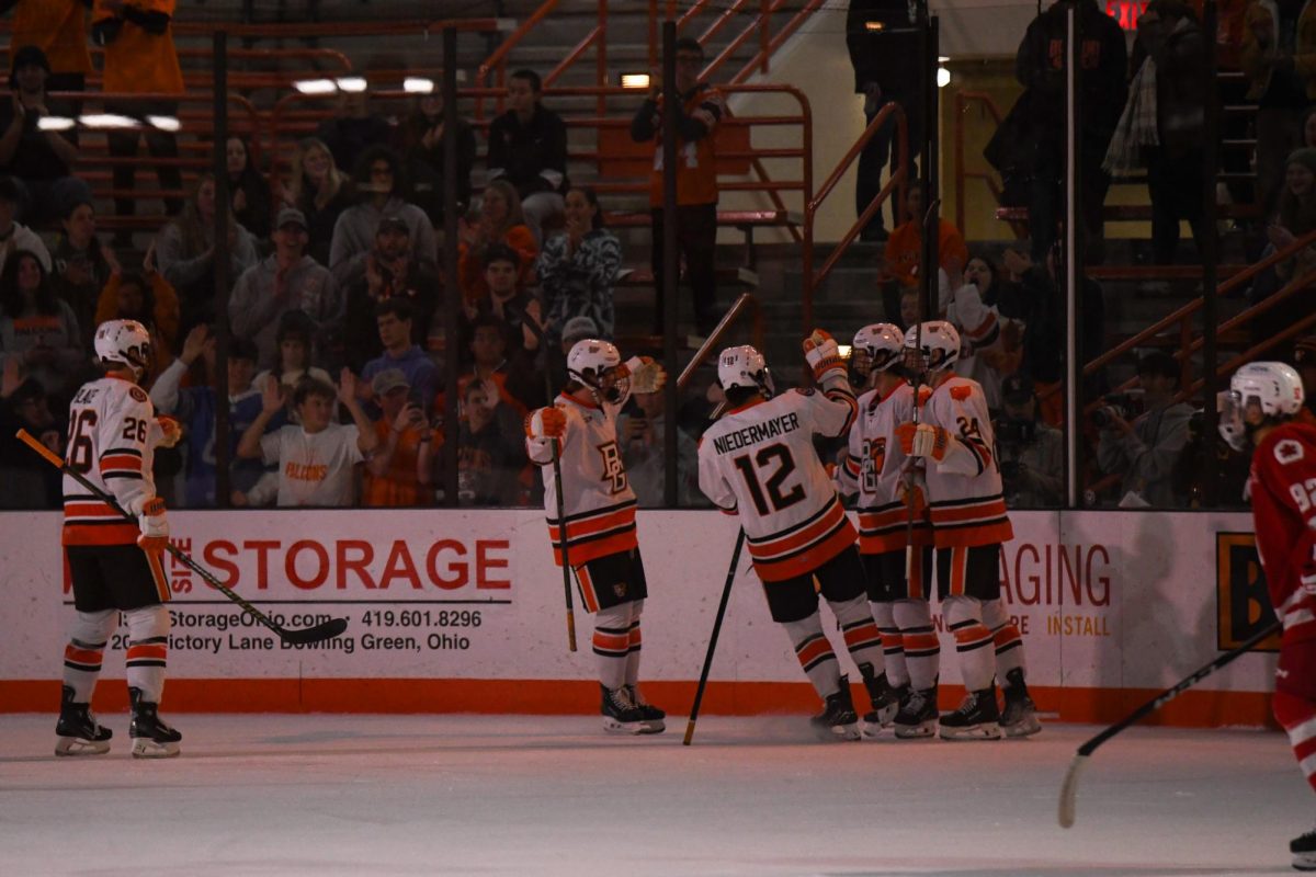 Bowling Green, OH - Falcons celebrating the first goal of the game scored by sophomore forward Brody Water (29) at Slater Family Ice Arena in Bowling Green, Ohio.