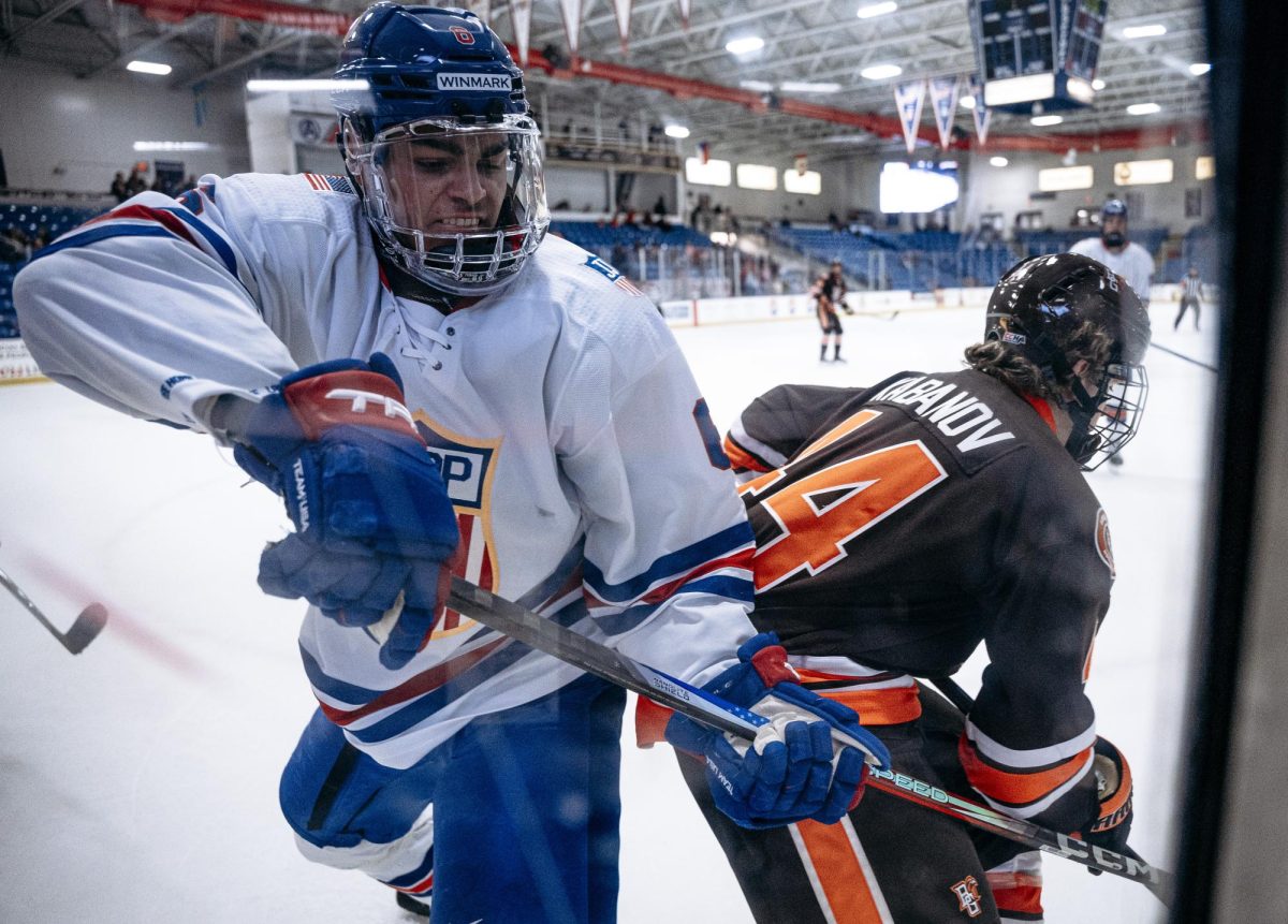 Plymouth, MI - Falcons at USA Hockey Arena in Plymouth Michigan.