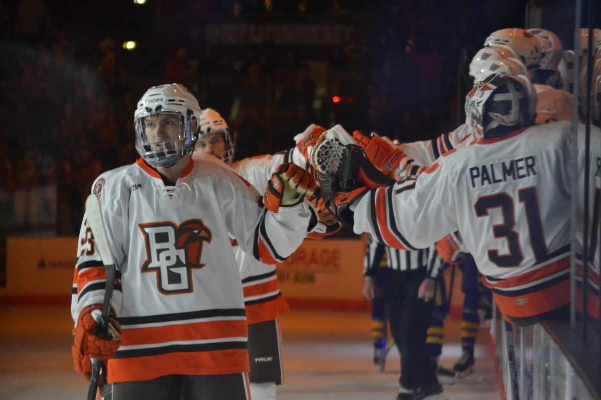 Bowling Green, OH - Falcons celebrating after a Falcon goal at the Slater Family Ice Arena in Bowling Green, Ohio.